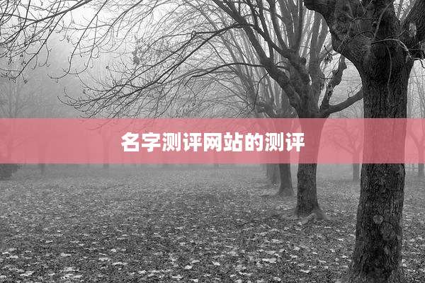 名字测评网站的测评