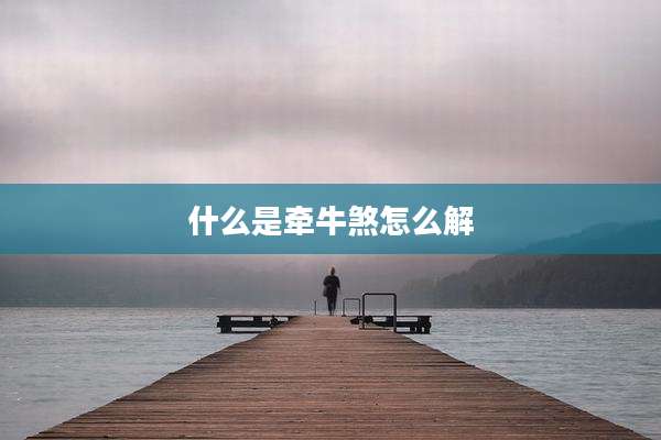 什么是牵牛煞怎么解