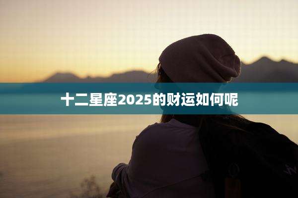 十二星座2025的财运如何呢