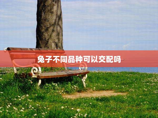 兔子不同品种可以交配吗