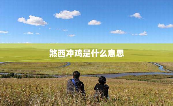 煞西冲鸡是什么意思