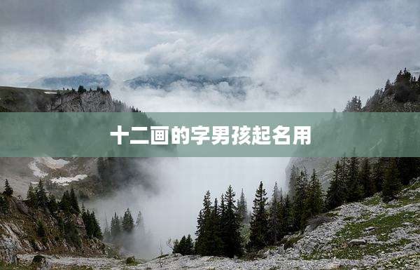 十二画的字男孩起名用