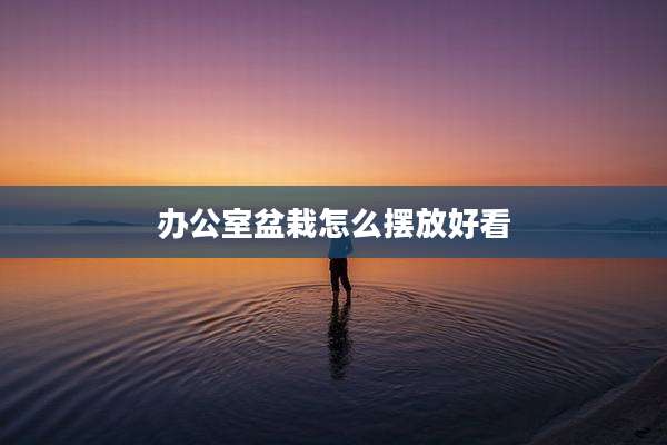 办公室盆栽怎么摆放好看