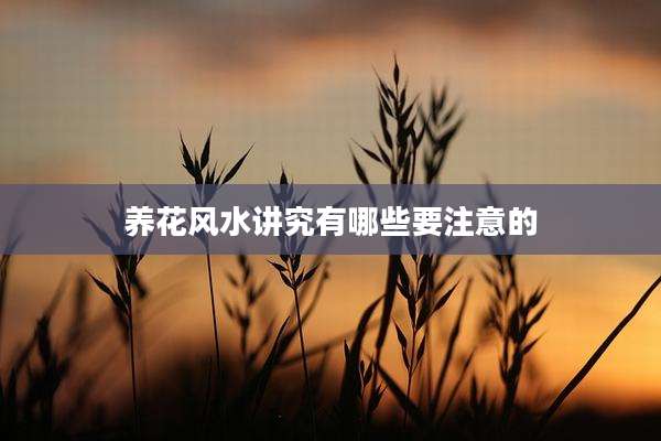 养花风水讲究有哪些要注意的