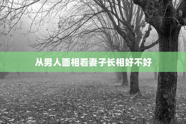从男人面相看妻子长相好不好