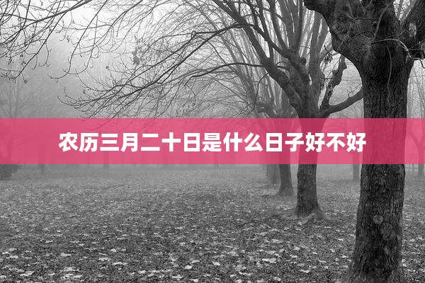 农历三月二十日是什么日子好不好