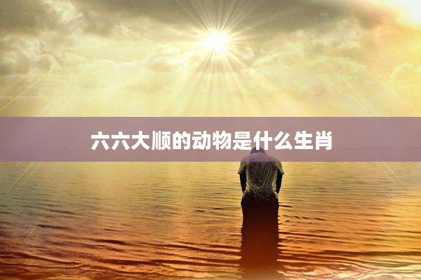 六六大顺的动物是什么生肖