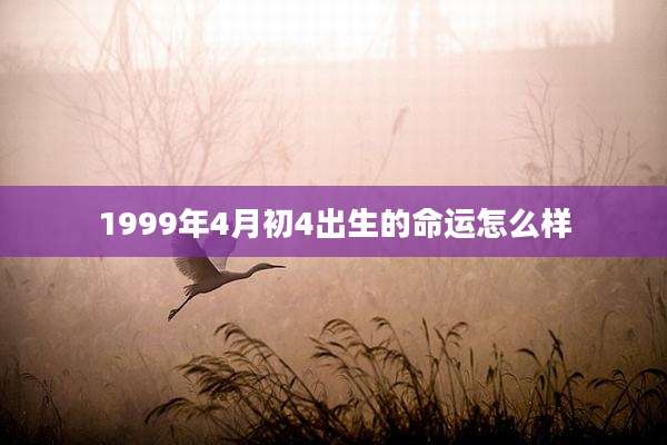 1999年4月初4出生的命运怎么样