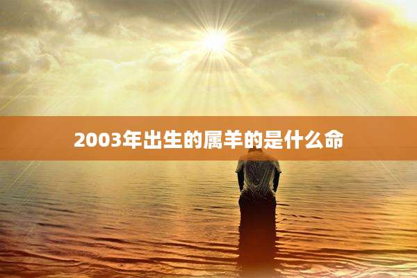 2003年出生的属羊的是什么命