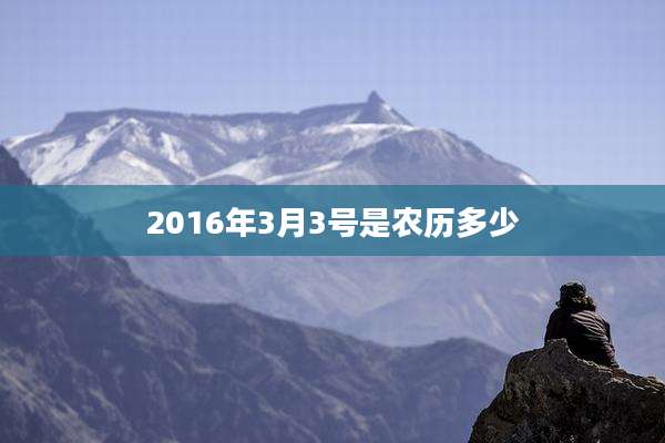 2016年3月3号是农历多少