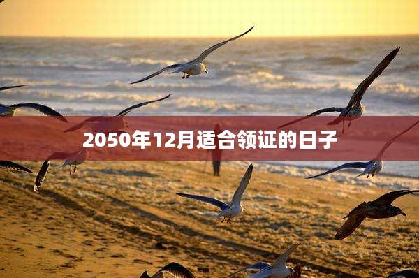 2050年12月适合领证的日子