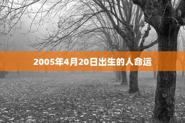 2005年4月20日出生的人命运