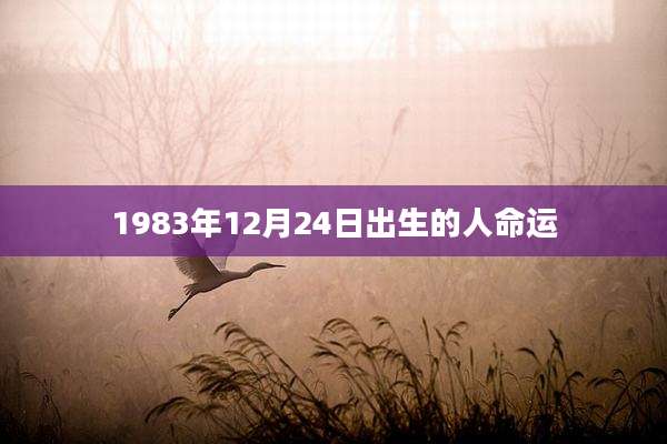 1983年12月24日出生的人命运