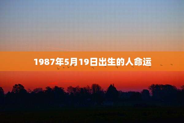 1987年5月19日出生的人命运