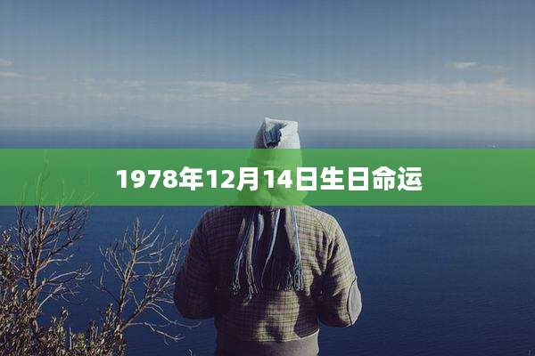 1978年12月14日生日命运