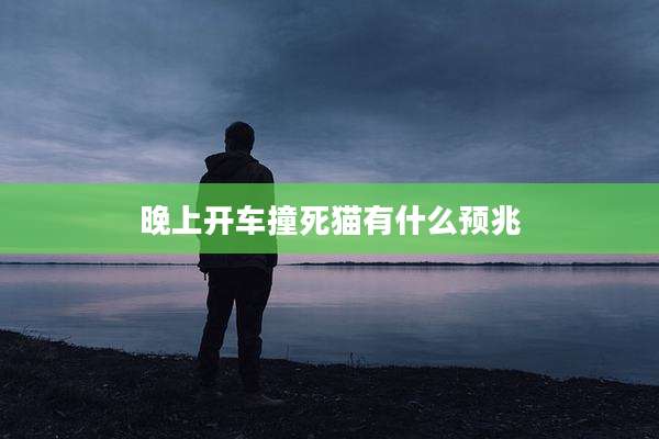 晚上开车撞死猫有什么预兆