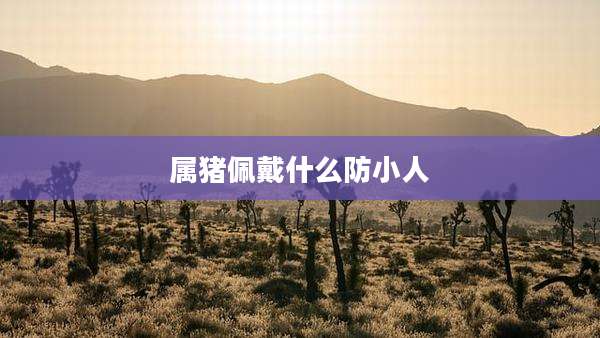 属猪佩戴什么防小人