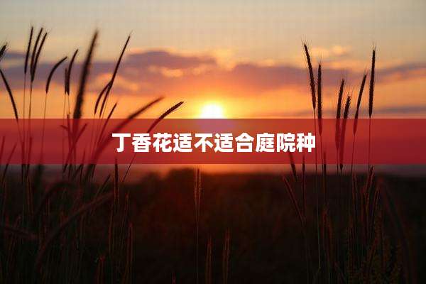 丁香花适不适合庭院种