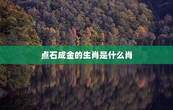 点石成金的生肖是什么肖