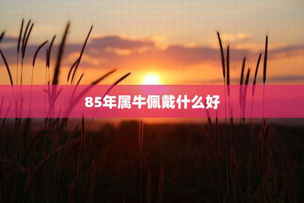 85年属牛佩戴什么好