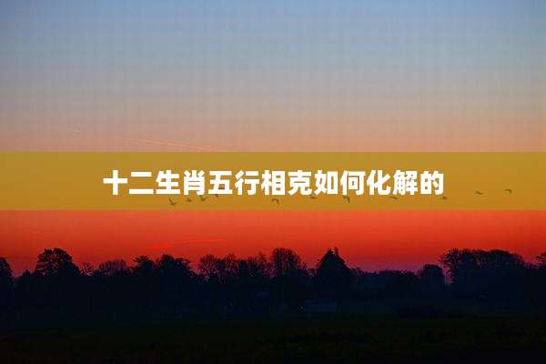 十二生肖五行相克如何化解的