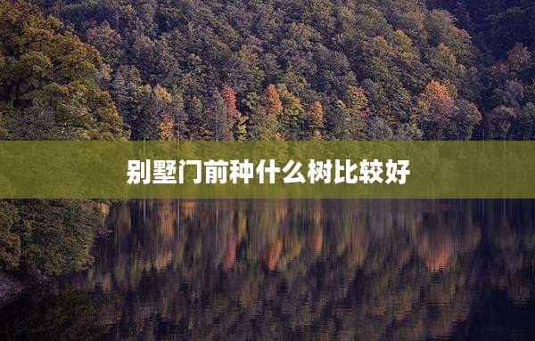 别墅门前种什么树比较好