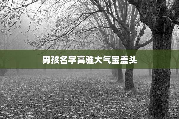男孩名字高雅大气宝盖头