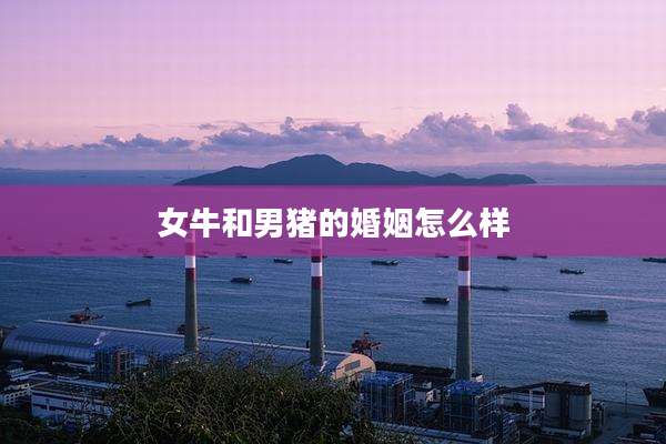 女牛和男猪的婚姻怎么样
