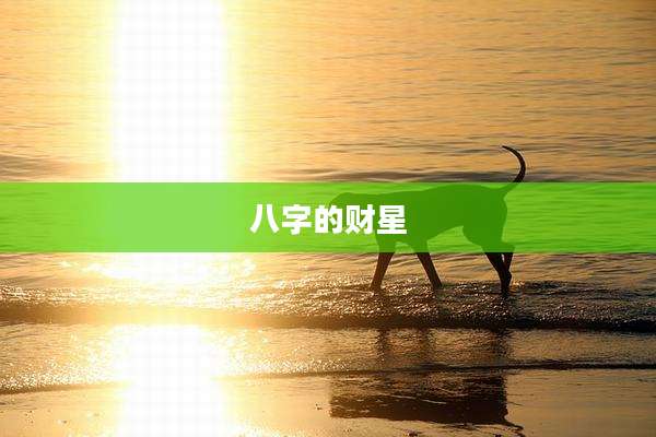 八字的财星