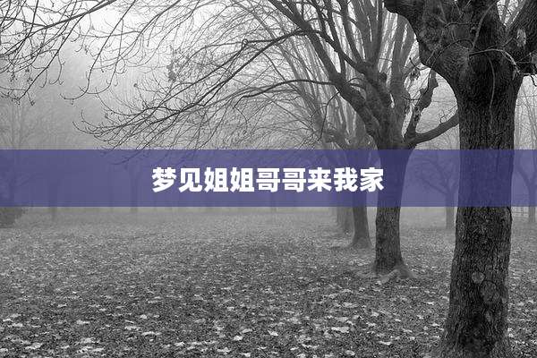梦见姐姐哥哥来我家