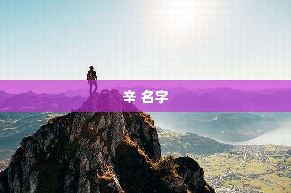 辛 名字