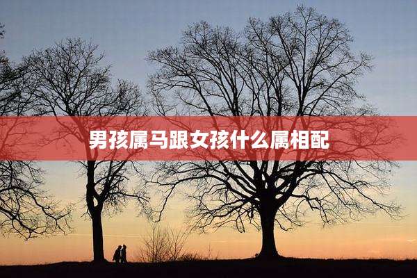 男孩属马跟女孩什么属相配
