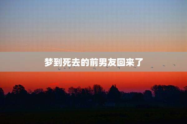梦到死去的前男友回来了