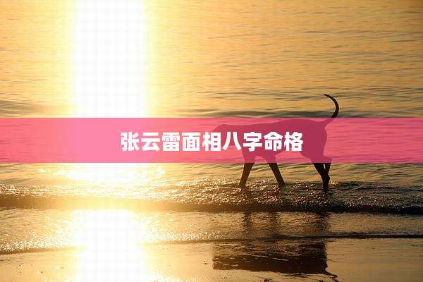 张云雷面相八字命格