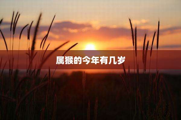 属猴的今年有几岁