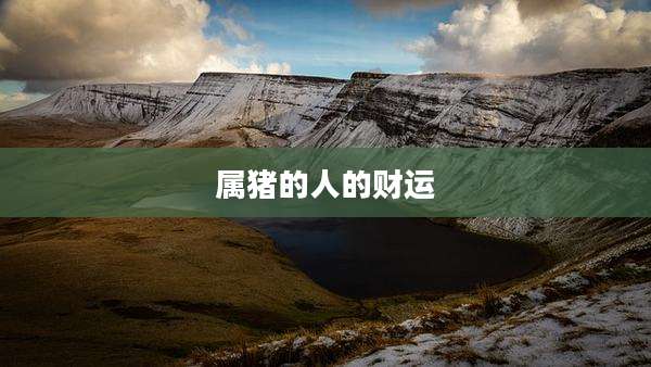 属猪的人的财运