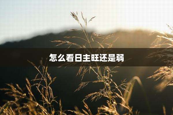 怎么看日主旺还是弱