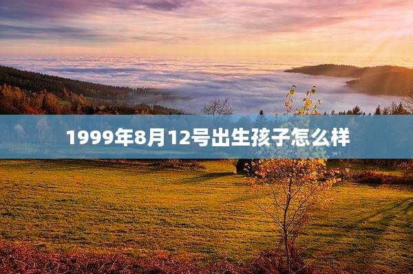 1999年8月12号出生孩子怎么样