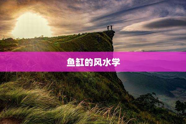 鱼缸的风水学