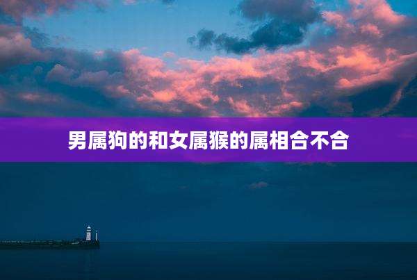 男属狗的和女属猴的属相合不合