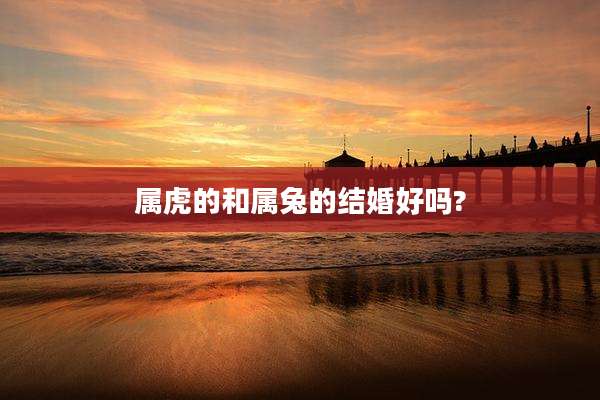 属虎的和属兔的结婚好吗?