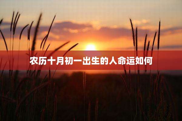 农历十月初一出生的人命运如何