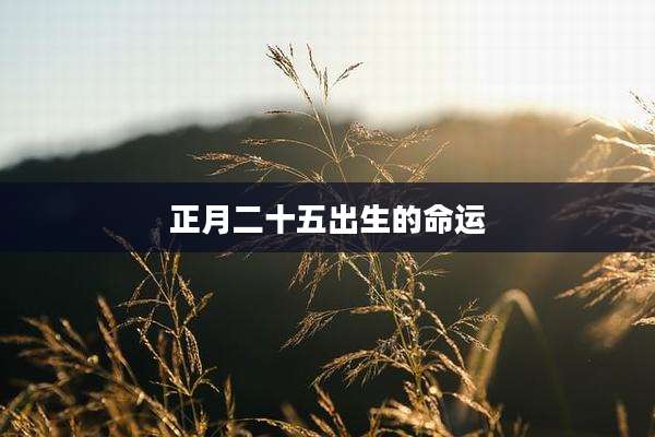 正月二十五出生的命运