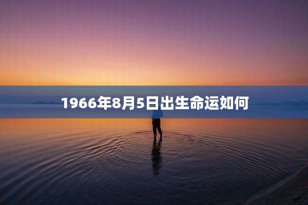 1966年8月5日出生命运如何