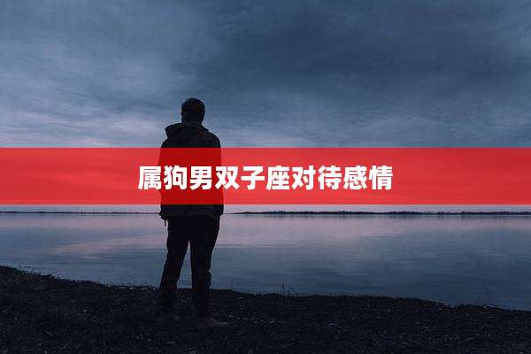 属狗男双子座对待感情