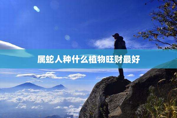 属蛇人种什么植物旺财最好