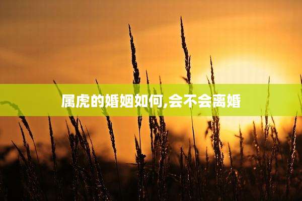 属虎的婚姻如何,会不会离婚