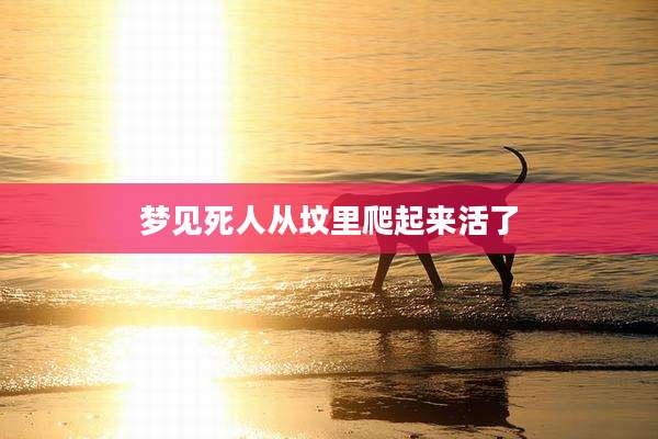 梦见死人从坟里爬起来活了