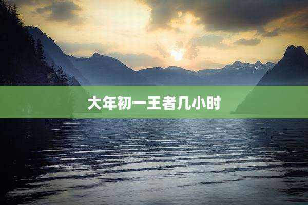 大年初一王者几小时