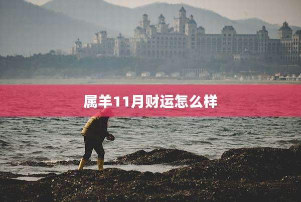 属羊11月财运怎么样